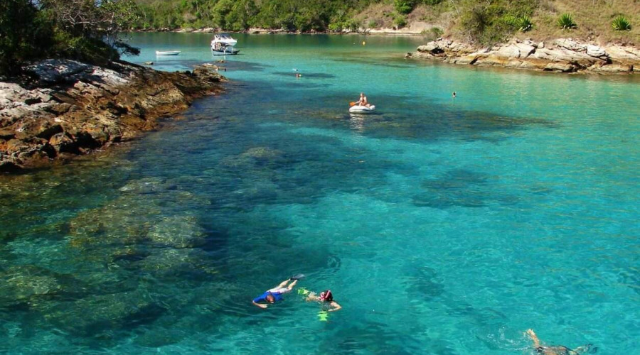 Conozca los mejores lugares para hacer buceo en el litoral de Brasil